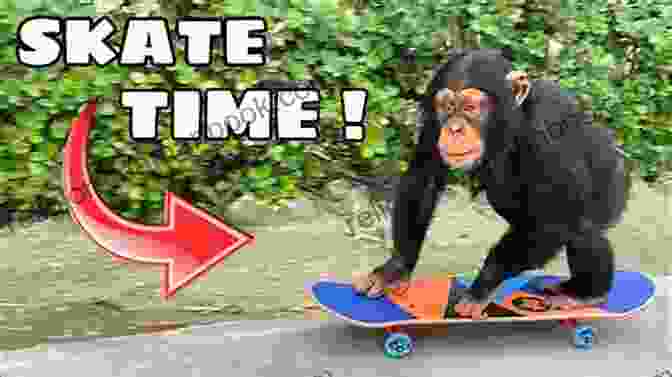 A Group Of Monkeys Riding Skateboards Through A City, Carrying A Kidnapped Child Skate Monkey: Kidnap (High/Low)