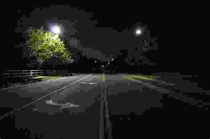 A Photograph Of A Suburban Street At Night The Voice At 3:00 A M : Selected Late And New Poems
