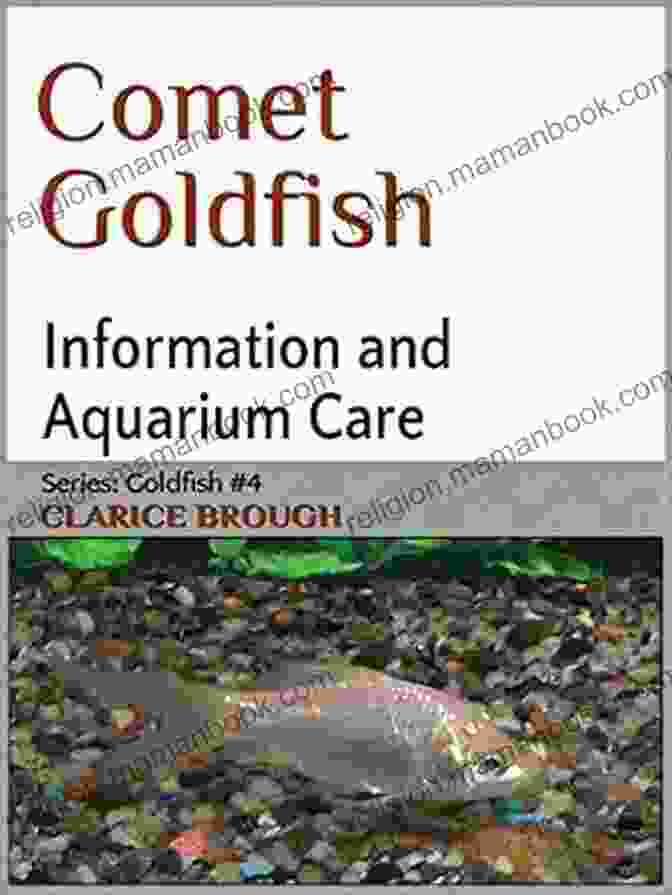 A Portrait Of Clarice Brough, The Pioneering Comet Goldfish Breeder. Comet Goldfish Clarice Brough