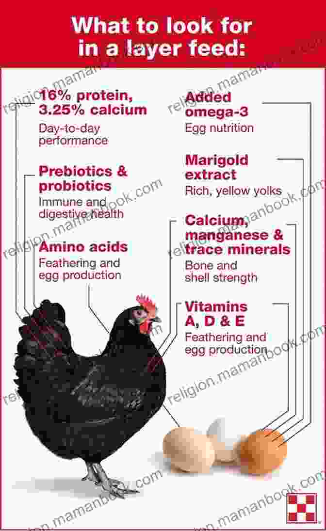 Image Of Chicken, Illustrating The Importance Of Histidine Eat Complete: The 21 Nutrients That Fuel Brainpower Boost Weight Loss And Transform Your Health