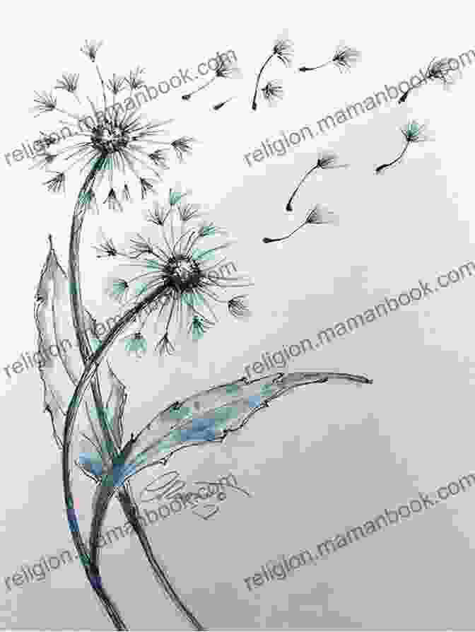 Original Drawing Of A Dandelion By A Passionate Artist Original Drawings Of Wild Flowers (Sketchbook Art)