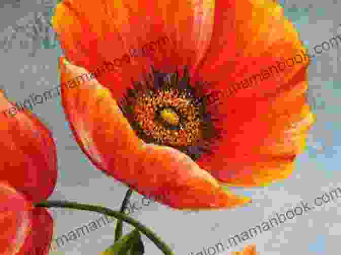 Original Drawing Of A Poppy By A Passionate Artist Original Drawings Of Wild Flowers (Sketchbook Art)