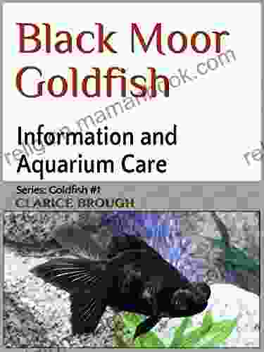 Black Moor Goldfish Clarice Brough