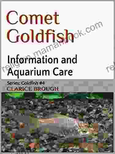 Comet Goldfish Clarice Brough