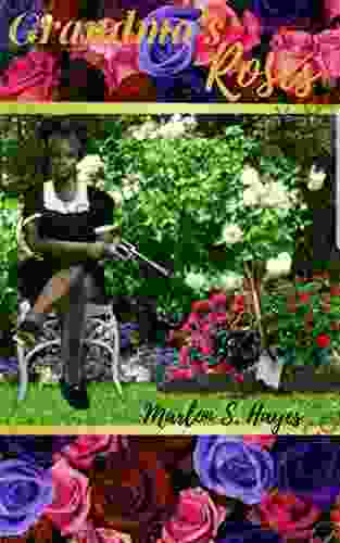 Grandma S Roses Marlon S Hayes