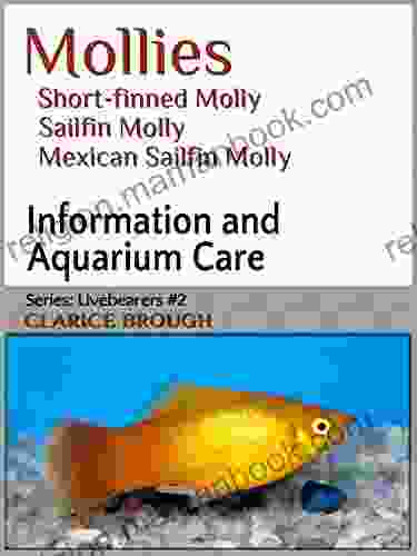 Mollies Short Finned Molly Sailfin Molly Mexican Sailfin Molly (Livebearing Fish 2)