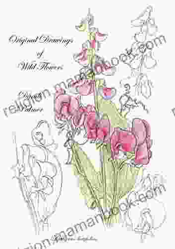 Original Drawings Of Wild Flowers (Sketchbook Art)