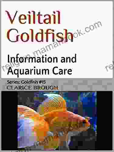 Veiltail Goldfish Clarice Brough